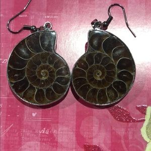 Ammonite Earrings
